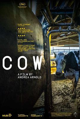 奶牛Cow