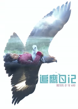 追鹰日记国语版