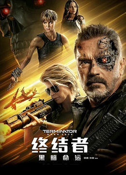 终结者黑暗命运国语版