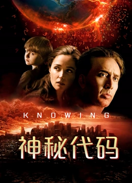 神秘代码 国语版