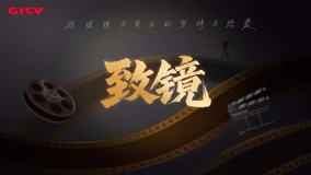 致镜